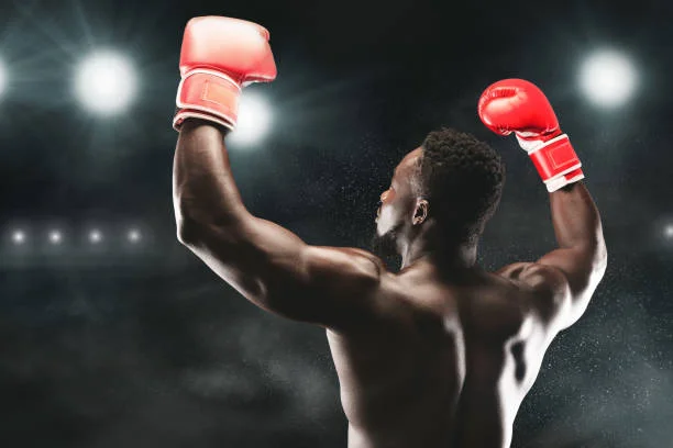 8868体育赵雷霆击倒对手赢得全国精英赛冠军